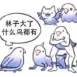 百度用户UID5748160493 2454459395qw 宅男文娱的一生 的头像