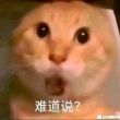 百度用户UID4102450356 原批嘉畜4001 看看你后边呢？ 的头像