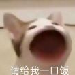 百度用户UID1727975399 干饭王李老屁 李老屁ºº 的头像