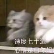 百度用户UID1922551055 123456aaab66 贴吧用户_QK4ZbAZ 的头像