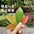 百度用户UID6708178673 null 贴吧用户_JRDP1e2 的头像