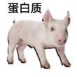 百度用户UID3689119602 null 昭不到了 的头像