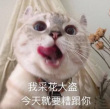 百度用户UID660006524 爷是会灰的猫 null 的头像