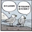 百度用户UID17596400727201 好大463 坏耶23333333 的头像