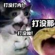 百度用户UID2126880419 秈秐 鳞翅猫 的头像