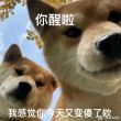 百度用户UID3093904967 起个名字714 yiwu🐟 的头像
