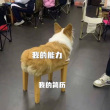 百度用户UID982958534 fate氵 null 的头像