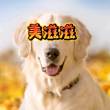 百度用户UID6765235949 田忌赛马知非福 null 的头像
