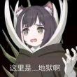 百度用户UID5234053208 双鱼熊风 null 的头像
