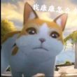 百度用户UID4488698343 null 贴吧用户_aGEEJZR 的头像