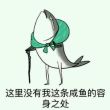 百度用户UID2975975305 一条_闲鱼O_o null 的头像
