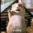百度用户UID6523424447 waynettTAT yno.1 的头像