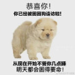 百度用户UID1612791243 BoBQIUTIAN00 贴吧用户_Q677Z91 的头像