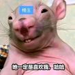 百度用户UID1070486598 哦是多少啊 本资家 的头像