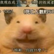 百度用户UID7062936171 蜓蜻队长 蜻娗队长 的头像