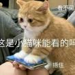 百度用户UID3541317328 吕文哲6 闻人望远 的头像