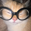 百度用户UID4356581714 云汉WUNHAN 空飛ぶ猫 的头像