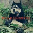 百度用户UID3178322722 魔法安东哥 null 的头像