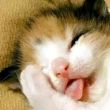 百度用户UID1461963691 lin猦 null 的头像