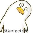 百度用户UID883073848 dcdcdcdc金牛 null 的头像