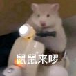 百度用户UID6941139172 开朗的网友4728 null 的头像