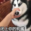 百度用户UID1546440305 随便啦随便1 来来往往行色匆匆 的头像