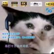 百度用户UID6493113831 ShywalkerRun DcWorrk 的头像