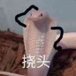 百度用户UID3073136318 诺小白鸽 null 的头像