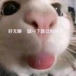 百度用户UID2705455664 罪血东盗 热情的江鰍😱 的头像