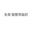 百度用户UID5585381404 铁血大帝龙中皇 章鱼噼万岁！ 的头像