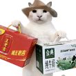 百度用户UID1980701134 达哥220 null 的头像