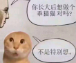 百度用户UID2590373426 enjoy什么用户 基米不哈气 的头像