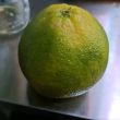百度用户UID6673942047 xhvti null 的头像