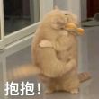 百度用户UID2983510527 dfg呵呵9 贴吧用户_7ED46ZC 的头像