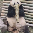 百度用户UID5137088912 甜咖啡250 我们在哪 的头像