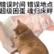 百度用户UID2454780936 666LVENENO 超级困蛋魂归床畔 的头像