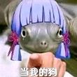 百度用户UID3830445032 幻神本神 谧夜中的蝶 的头像