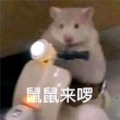 百度用户UID2435517170 IJDGAF 徐凤年字天狼º 的头像