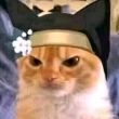百度用户UID2391490360 A5456654A 会飞的猫⋄ 的头像