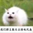 百度用户UID1327195958 SKT_Y5 鱼腥早 的头像