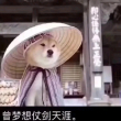 百度用户UID981836304 独鬣 null 的头像