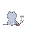 百度用户UID17596400575565 电宇都宫 null 的头像