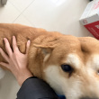 百度用户UID853968378 丢了钱包的三三 null 的头像