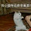 百度用户UID3511880750 沐泠鸢吟 🌈时间胶囊ky7🌙 的头像