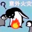 百度用户UID6497026352 猫冬天233 东北果扎王 的头像
