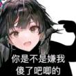 百度用户UID3609382368 mig鸽鸽 鸽者Dover 的头像