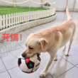 百度用户UID442924887 LINKANGZHENG68 null 的头像