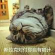 百度用户UID1379218810 shinedvfsf null 的头像