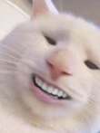男子***动车