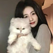 美到犯规
